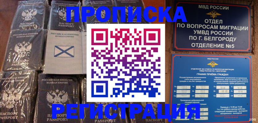 прописка гарантия в Ленинградской области